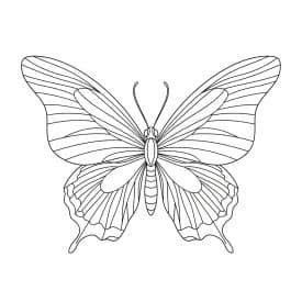 Desenho de Borboleta para Colorir e Imprimir