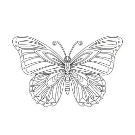 Desenho de Borboleta para Colorir e Imprimir