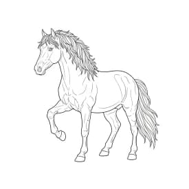 desenho de cavalo para colorir