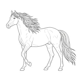 desenho de cavalo para colorir
