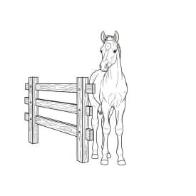 desenho de cavalo para colorir