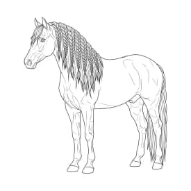 desenho de cavalo para colorir