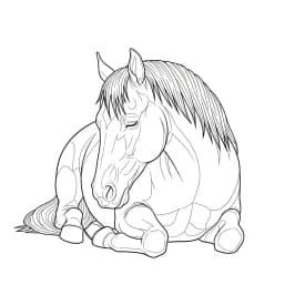 desenho de cavalo para colorir
