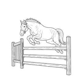 desenho de cavalo para colorir
