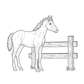 desenho de cavalo para colorir