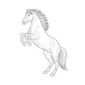 desenho de cavalo para colorir