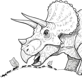 Desenho de Dinossauro para Colorir
