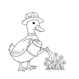 desenho de Duck para colorir