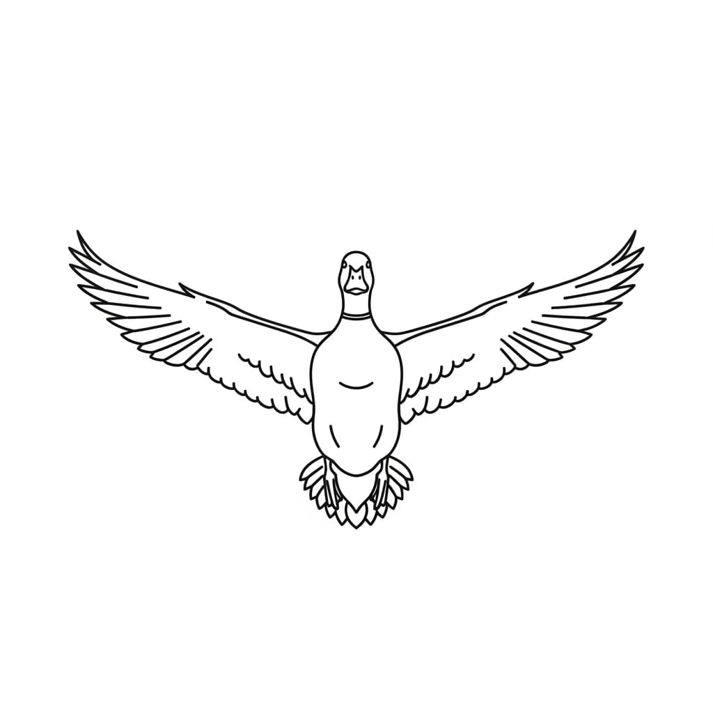 desenho de Duck para colorir