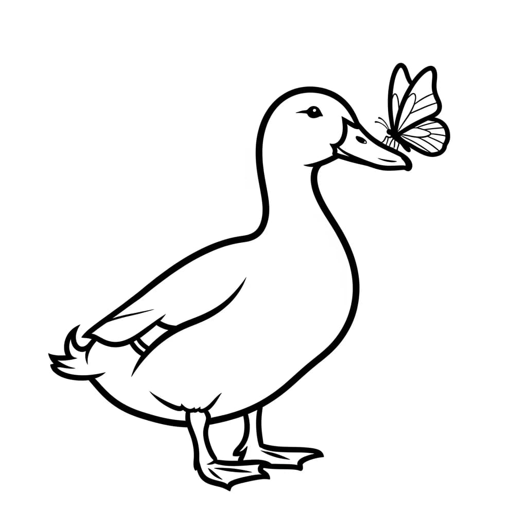 desenho de Duck para colorir
