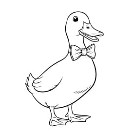 desenho de Duck para colorir