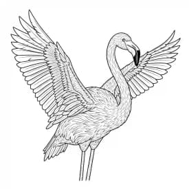 desenho de Flamingo para imprimir e colorir