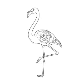 desenho de Flamingo para imprimir e colorir