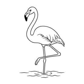 desenho de Flamingo para imprimir e colorir