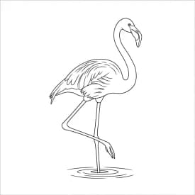 desenho de Flamingo para imprimir e colorir