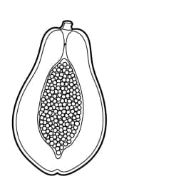 desenho de frutas para colorir