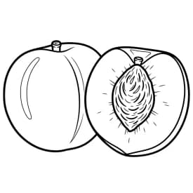 desenho de frutas para colorir