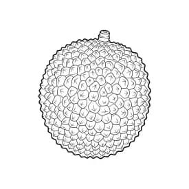 desenho de frutas para colorir