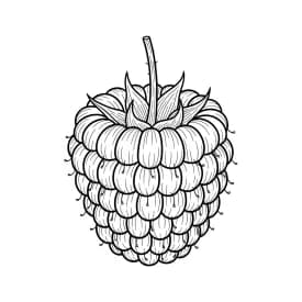 Desenho de Frutas para Colorir e Imprimir desenho de frutas para colorir