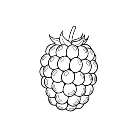 desenho de frutas para colorir