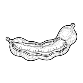 desenho de frutas para colorir