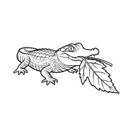 desenho de jacaré para colorir