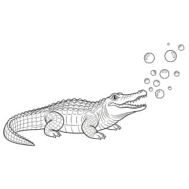 desenho de jacaré para colorir