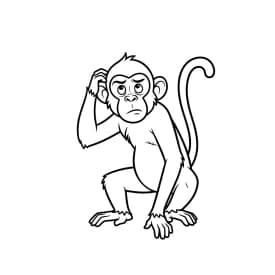 desenho de macaca para colorir