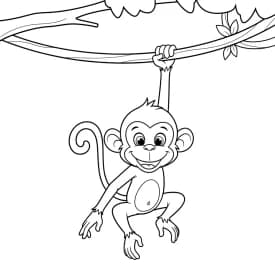desenho de macaca para colorir