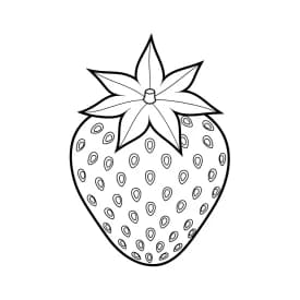 desenho de morango para colorir
