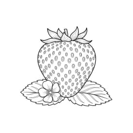 desenho de morango para colorir