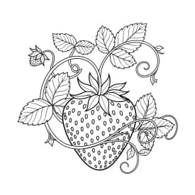 desenho de morango para colorir