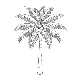 Desenho de Verão para Colorir desenho de verão para colorir