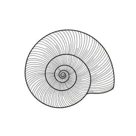 Desenho de Verão para Colorir desenho de verão para colorir