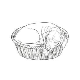 Desenhos de Cachorrinhos para Imprimir e Colorir Desenhos de Cachorrinhos para Imprimir