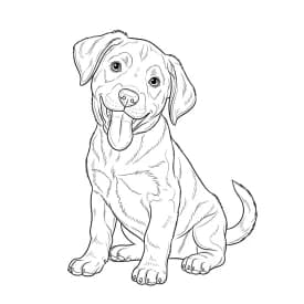 Desenhos de Cachorrinhos para Imprimir e Colorir Desenhos de Cachorrinhos para Imprimir