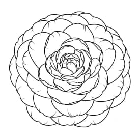 Desenhos de Flores para Colorir – Imprima e Divirta-se Desenhos de Flores para Colorir – Imprima e Divirta-se