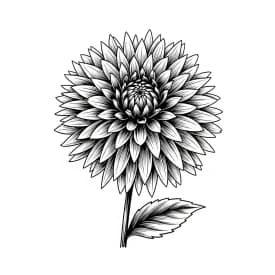 Desenhos de Flores para Colorir – Imprima e Divirta-se
