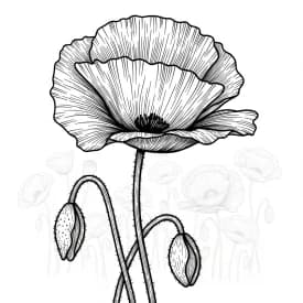 Desenhos de Flores para Colorir – Imprima e Divirta-se