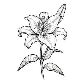 Desenhos de Flores para Colorir – Imprima e Divirta-se