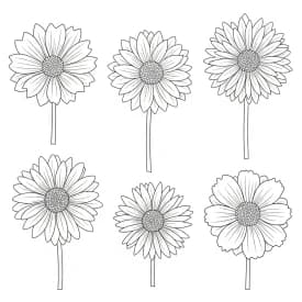 Desenhos de Flores para Colorir – Imprima e Divirta-se