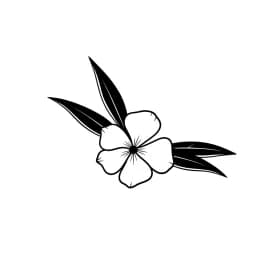 Desenhos de Flores para Colorir – Imprima e Divirta-se Desenhos de Flores para Colorir – Imprima e Divirta-se