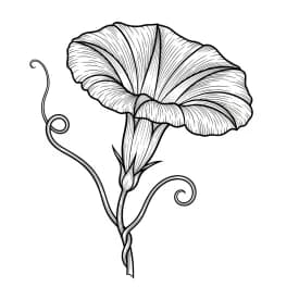 Desenhos de Flores para Colorir – Imprima e Divirta-se Desenhos de Flores para Colorir – Imprima e Divirta-se