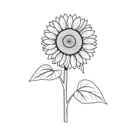 Desenhos de Flores para Colorir – Imprima e Divirta-se Desenhos de Flores para Colorir – Imprima e Divirta-se