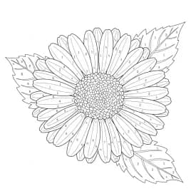 desenho de Toddlers para imprimir e colorir